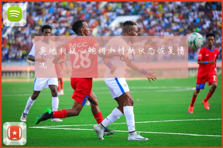 奥地利核心鲍姆加特纳状态恢复情况