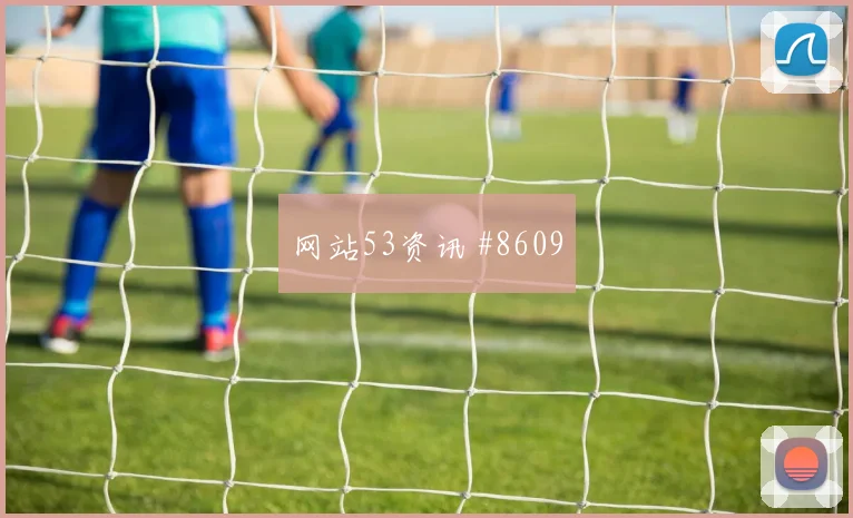 卢卡库2026世界杯大赛经验价值