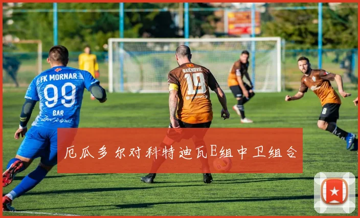 厄瓜多尔对科特迪瓦E组中卫组合